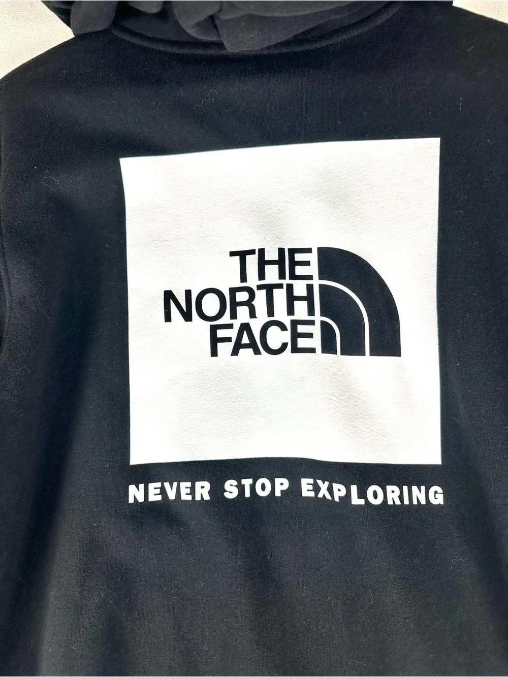 The North Face Hooded Half Dome Logo Back Graphic Sweatshirt Black